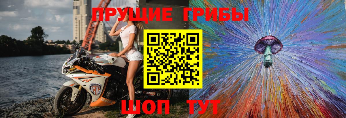 Печора  Псилоцибиновые грибы мицелий  Вход с VPN  Псилоцибиновые грибы Psilocybe 
