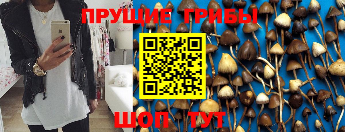 Псилоцибиновые грибы мухоморы Печора